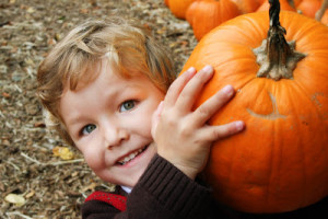 Pumpkin Patch-3 mini